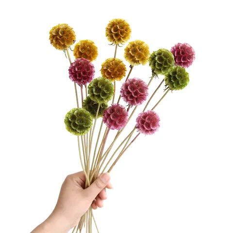 Natural Dried Flower Bouquet Windmill Fruit Branches For Home Decor DIY Floral Arrangement Interior Table Decoration