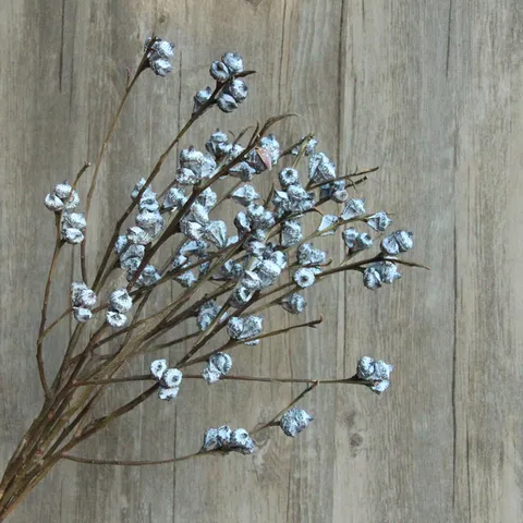 Natural Dried Eucalyptus Branches Ultra White Small Fruit Eucalyptus Stems For Home Decoration Floral Arrangement