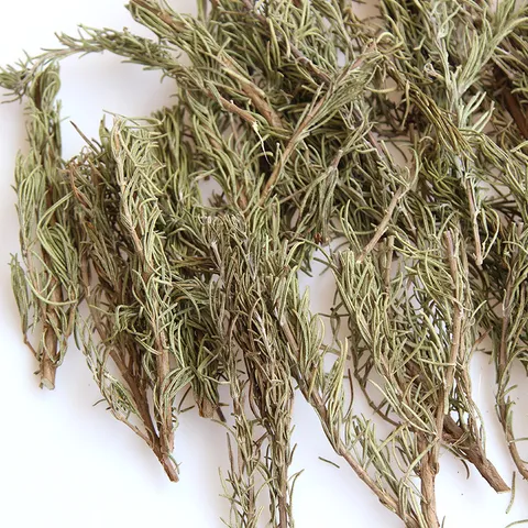 Natural Dried Rosemary Branches Herb Aromatherapy DIY Craft Materials Christmas Home Floral Decoration