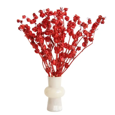 Natural Dried Lantern Fruit Branches Red Dried Flowers Bouquet For Home Decor Festival Party Floral Arrangement