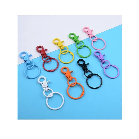 DIY Anneau de Porte-Clés en Métal Coloré Mousqueton Accessoires d'Artisanat Alliage Peint Anneau Clé Pendentif Fournitures de Bijoux