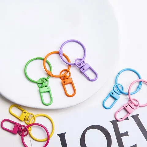 Metal Keychain Snap Hook With 3cm Key Ring Baking Paint DIY Craft Hardware Accessories For Keys Loose Leaf Book Rings
