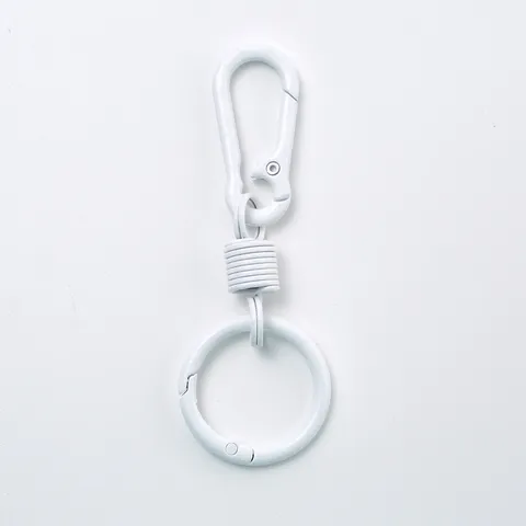Bunt Lackiert Schlüsselanhänger Legierung Feder Ring Karabiner DIY Schmuck Anhänger Auto Schlüsselring Tasche Hängende Ornament Zubehör