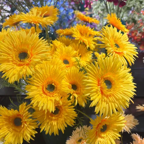 Artificial Gerbera Daisy Silk Flower Stem Vintage Garden Style Faux Wild Daisy Floral Arrangement For Wedding Arch Home Decor
