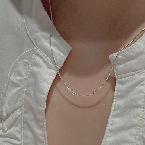 S925 Sterling Zilveren Slangenketting Halsketting Voor Vrouwen Minimalistische Koreaanse Stijl Vintage Effen Kleur Basis Sleutelbeen Ketting Sieraden Cadeau