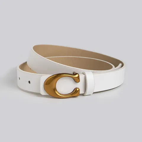 Damen Mode Pendeln Minimalistisch Einfarbig Kunstleder Gürtel Metall Schnalle Vielseitig Lässig Taillengürtel