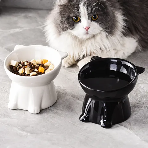 Gamelle pour Chat en Céramique sur Pied Inclinée Protection du Cou Anti-Renversement Bol de Nourriture et d'Eau pour Chats et Petits Chiens