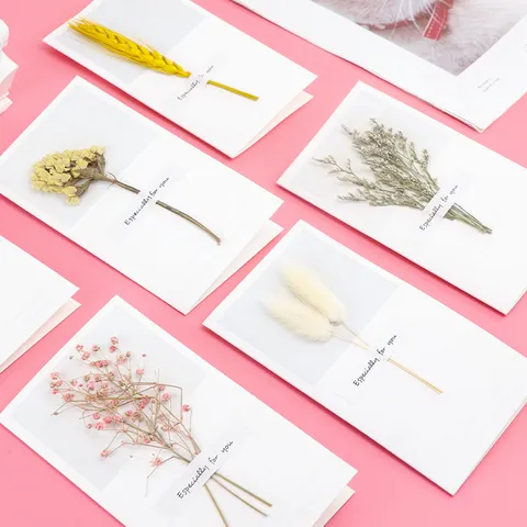 Carte de Vœux Faite Main en Fleurs Séchées Avec Décoration de Plantes Naturelles Carte de Bénédiction Minimaliste Pour Anniversaire Cadeau de Vacances