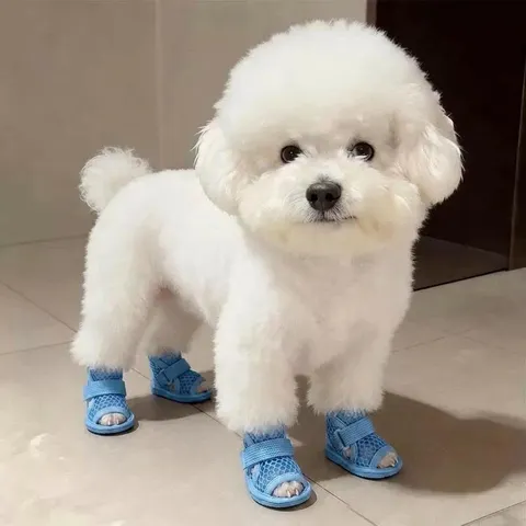 Waterproof Anti Slip Pet Dog Socks Small Dogs Cats Booties Knit Paw Protector Cute Bear Bone Pattern Paw Wear Pet Supplies