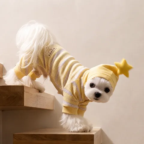 Hundekleidung Herbst Winter Warm Vierbeinig Mit Kapuze Hundekleidung Süß Stern Mond Druck Fleece Welpenbekleidung Für Kleine Mittlere Hunde
