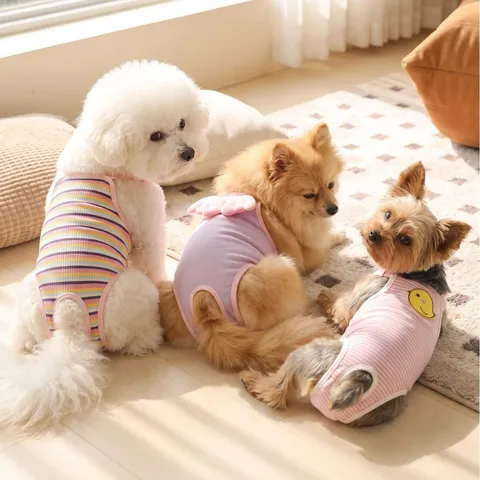 Süße Cartoon Hunde Läufigkeitshose Hündin Hygienewindel Atmungsaktive Baumwolle Haustier Periode Unterwäsche