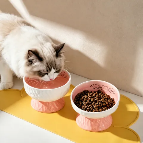 Ceramic Elevated Cat Bowl Cute Cartoon Pet Food Water Bowl Neck Protection Flat And Slanted Bowls For Dogs Cats