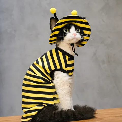Cute Bee Cat Clothes Striped Hooded Costume Pet Apparel Soft Thin Spring Autumn Outfits For Cats And Kittens