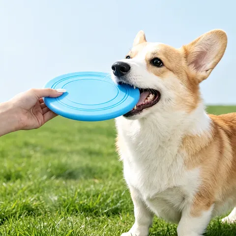 TPR Silicone Soft Dog Frisbee Toy Interactive Training Flying Disc Floating Fetch Toy For Puppy Pet Outdoor Play