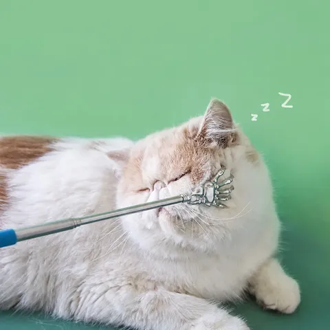 Stainless Steel Telescopic Back Scratcher Portable Extendable Back Scratching Tool Pet Massage Comb Cat Toy
