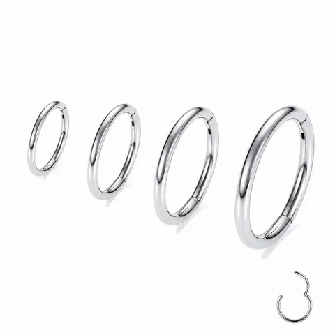 ASTM F136 Titanium Seamless Ring Hinged Segment Nose Ring Cartilage Earring Lip Piercing Body Jewelry