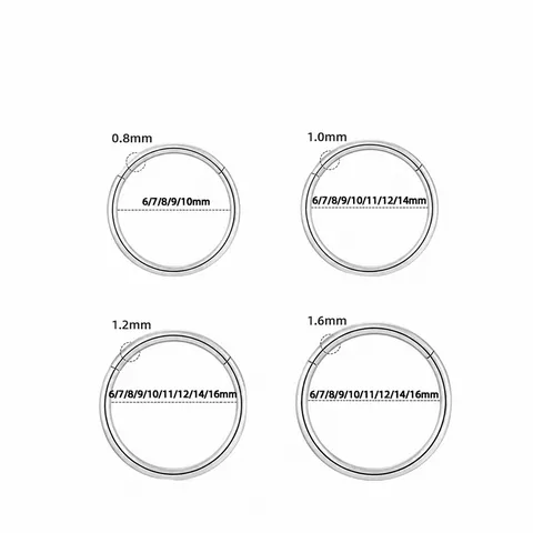 ASTM F136 Titanium Seamless Ring Hinged Segment Nose Ring Cartilage Earring Lip Piercing Body Jewelry