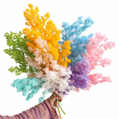 Preserved Asparagus Fern Dried Flowers Box Natural Plant Material For DIY Crafts Greeting Cards Home Decor