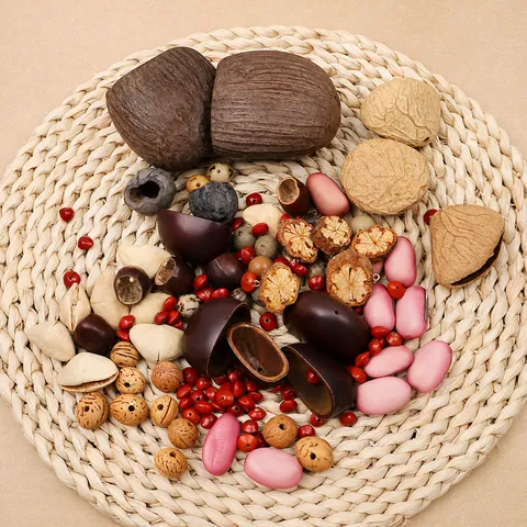Natural Dried Nut Shell Seeds For DIY Wind Chime Material Handmade Craft Hanging Ornaments Botanical Decorative Components