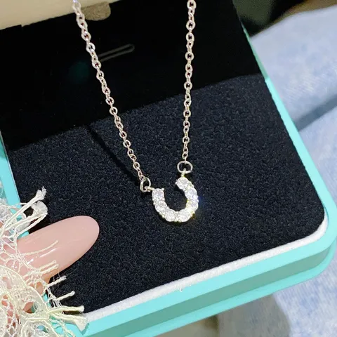 Collier Pendentif Fer à Cheval en Acier Titane Minimaliste Chaîne de Clavicule Incrustée de Zirconia Élégante Bijoux pour Femmes Accessoire Quotidien