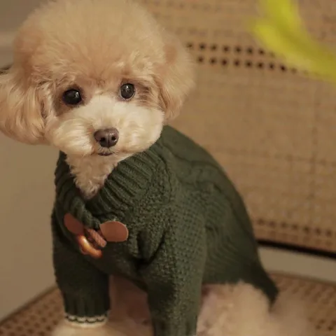 Maglione in Maglia per Cani Autunno Inverno Vestiti Caldi per Cani Morbido Maglieria con Alamaro per Cani Piccoli Gatti Cuccioli