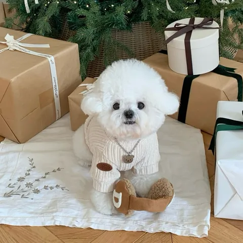 Warm Knitted Pet Sweater For Small Dogs High Neck Puppy Base Shirt Autumn Winter Pet Clothing For Teddy Poodle Bichon Schnauzer Yorkie Soft Knitwear
