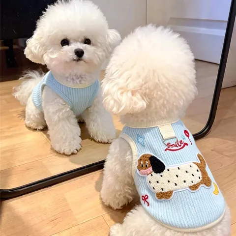 Schattige Cartoon Teckel Geborduurd Huisdiervest Met D-ring Harnas Gebreid Ademend Puppy Kattenkleding Voor Kleine Honden Teddy