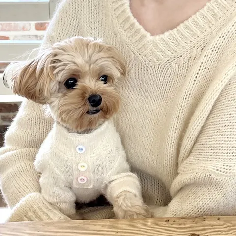 Pet Dog Knit Sweater Soft Plush Cable Knit Puppy Clothes For Small Dogs Cats Warm Autumn Winter Pet Cardigan Jacket