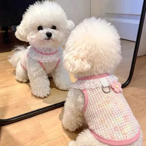 Chaleco de Punto para Mascotas Cuello de Encaje Decoración de Flores Ropa para Perros Gatos Pequeños Suéter Transpirable para Cachorros Gatitos Con Anillo en D Ropa de Otoño
