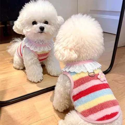 Chaleco Cálido de Vellón para Mascotas Con Cuello de Encaje Ropa para Perros con Rayas de Arcoíris Anilla en D para Perros Gatos Rosa Azul Ropa para Cachorros