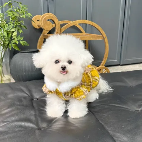 Vestido de Cuadros Amarillos para Perros y Gatos de Lana de Cordero Sintética Engrosado Cálido Falda para Cachorros Teddy Bichon Mascotas Otoño Invierno