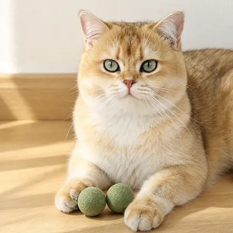 Natürliche Katzenminze Bälle Für Katzen Zahnpflege Kauspielzeug Interaktive Kätzchen Leckerli Komprimierte Grasbälle Mit Federn