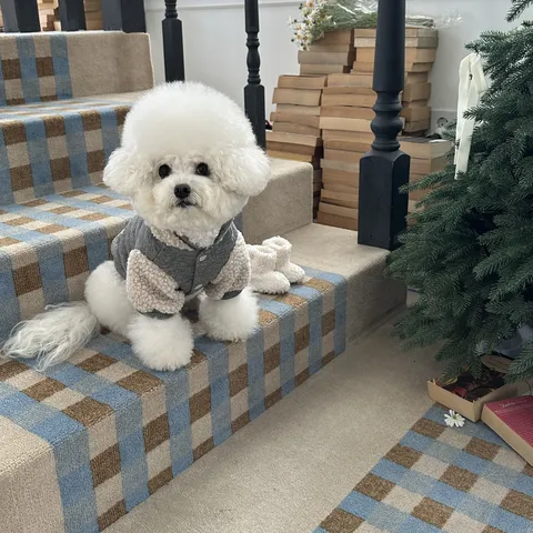 Pet Patchwork Hooded Sweatshirt Autumn Winter Warm Fleece Dog Cat Clothes Casual Hoodies For Small Medium Dogs Teddy Pomeranian