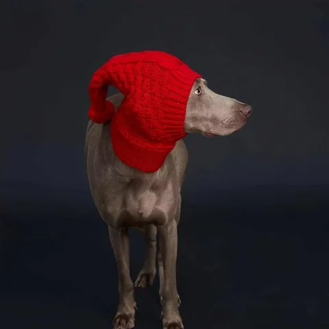 Winter Pet Knitted Hat Warm Greyhound Dog Hat Red Pom Pom Polyester Striped Knit Headwear For Dogs Puppy Accessories