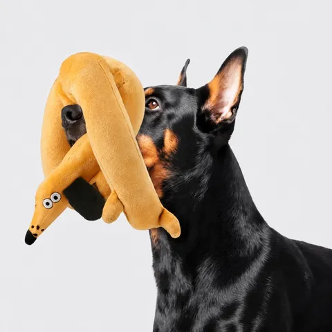 Long Jouet en Peluche Siffleur pour Animaux Teckel Flexible Chien Rembourré Doux pour Soulager l'Ennui et le Nettoyage des Dents Interaction Cadeau