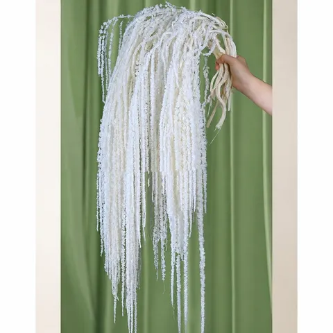 Natural Dried Amaranthus Flowers Preserved Tassels Hanging Plants For Wedding Party Home Decor Festival Floral Arrangement