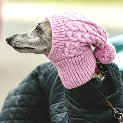 Πλεκτό Καπέλο για Σκύλους Greyhound Snood Μαλακό Ακρυλικό Ζεστό Χειμερινό Σκουφάκι Με Πομ Πον Προστατευτικό για Λαιμό και Αυτιά