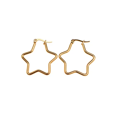 Minimalistische Gouden Roestvrijstalen Hoepel Oorbellen Voor Dames Geometrische Ster Hart Ronde Waterdruppel Vorm Oorbellen Sieraden