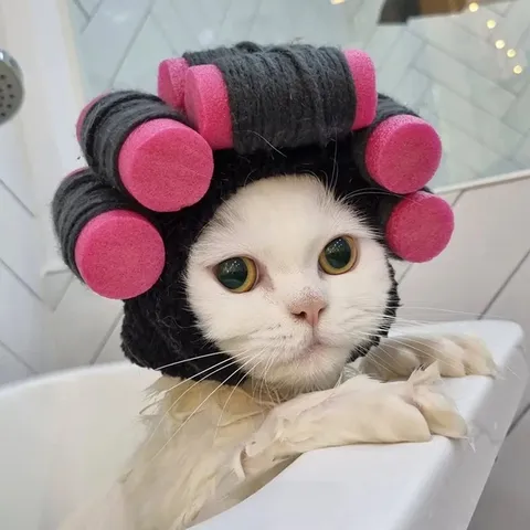 Funny Pet Perm Curler Hat Creative Knitted Headwear For Cats Small Dogs Perming Hair Styling Costume Prop Photography Accessory