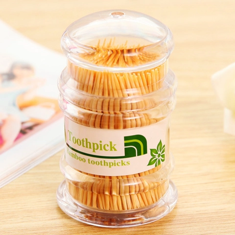 Stuzzicadenti In Bambù Naturale A Doppia Punta Monouso Con Contenitore In Plastica Portatile Per Casa E Hotel