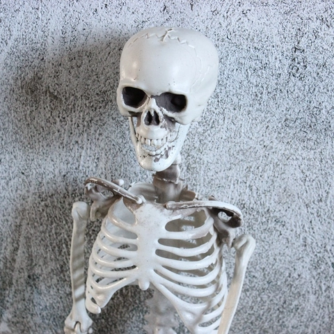 Realistisches Lebensgroßes Menschliches Skelett Kunststoff Bewegliche Gelenke Halloween Dekoration Spukhaus Party Requisite
