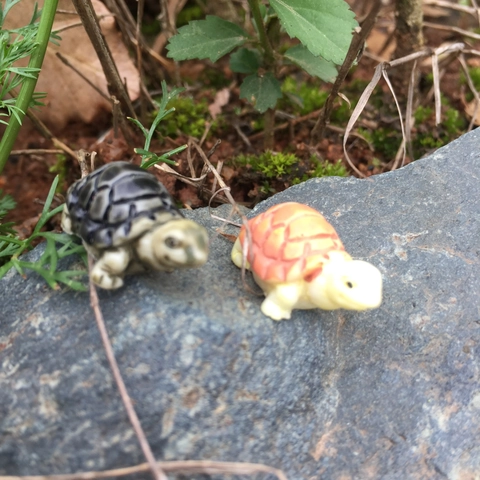 Mini Statuetta di Tartaruga in Resina Decorazione Micro Paesaggio Muschio Ornamento Animale Miniatura per Giardino Fata