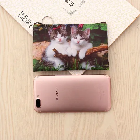 Süße Katzenprint PU Leder Münzbörse Mini Portemonnaie Schlüsseltasche Mit Reißverschluss Und Schlüsselring Kawaii Accessoires