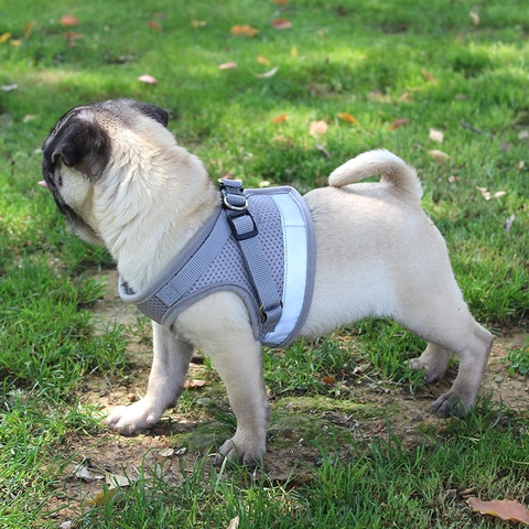 Reflective Dog Harness Breathable Mesh Vest Adjustable Soft Padded For Small Medium Dogs Cats Outdoor Walking Safety