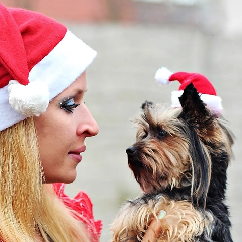 Mini Weihnachts Mütze Weicher Plüsch Rot Weiß Mit Verstellbarem Gummiband Für Kleine Hunde Katzen Feiertags Party Cosplay Foto Requisite