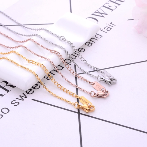 Roestvrijstalen Halsketting Ketting Dames Goud Zilver Roségoud Titanium Staal Mode Sieraden