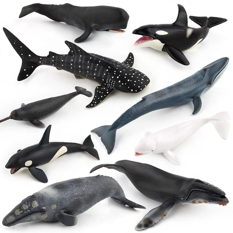 Figurine Animali Marini Simulazione Balena Squalo Vita Marina Realistica Plastica PVC Giocattolo Educativo Scientifico Regalo Bambini