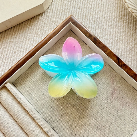 Pinza Per Capelli Fiore Di Frangipane Arcobaleno Sfumato Plastica Resina Dolce Carino Accessorio Per Acconciatura Donna