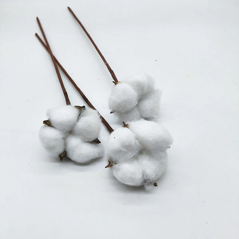 Natuurlijke Dennenappel Katoen Gedroogde Bloemstelen Rustieke Kerstversiering DIY Bloemstuk Fotografie Props