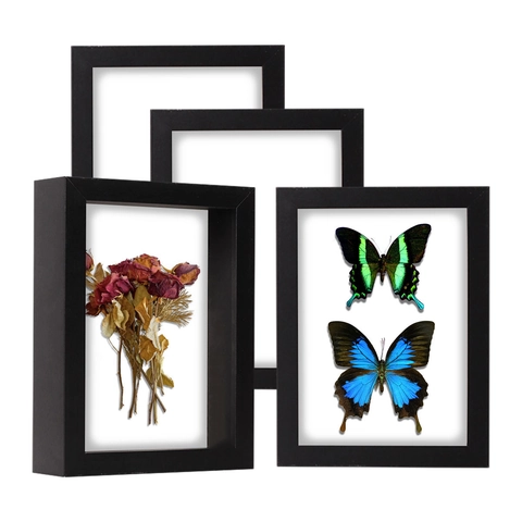 Shadow Box Display Frame Wood Deep Hollow Case For Specimens Dried Flowers Medals Photos Modern Simple Home Decor